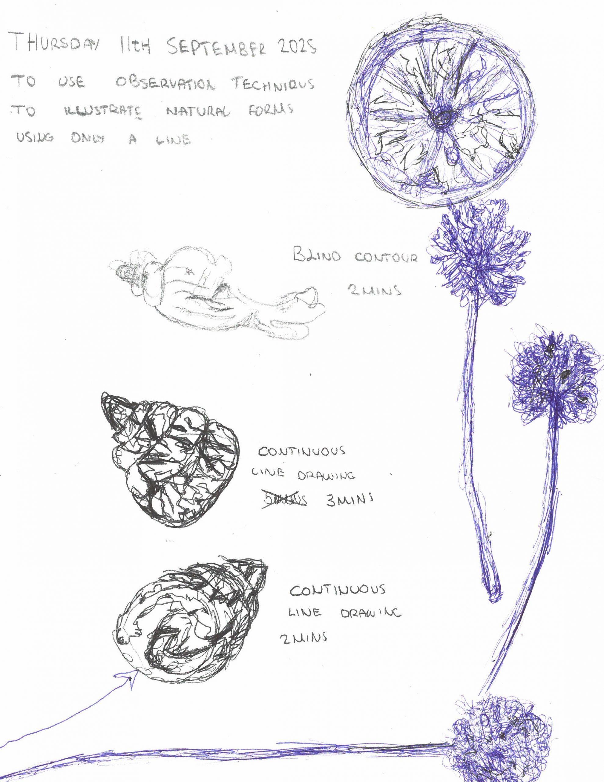 Copy of S45C-925091112060