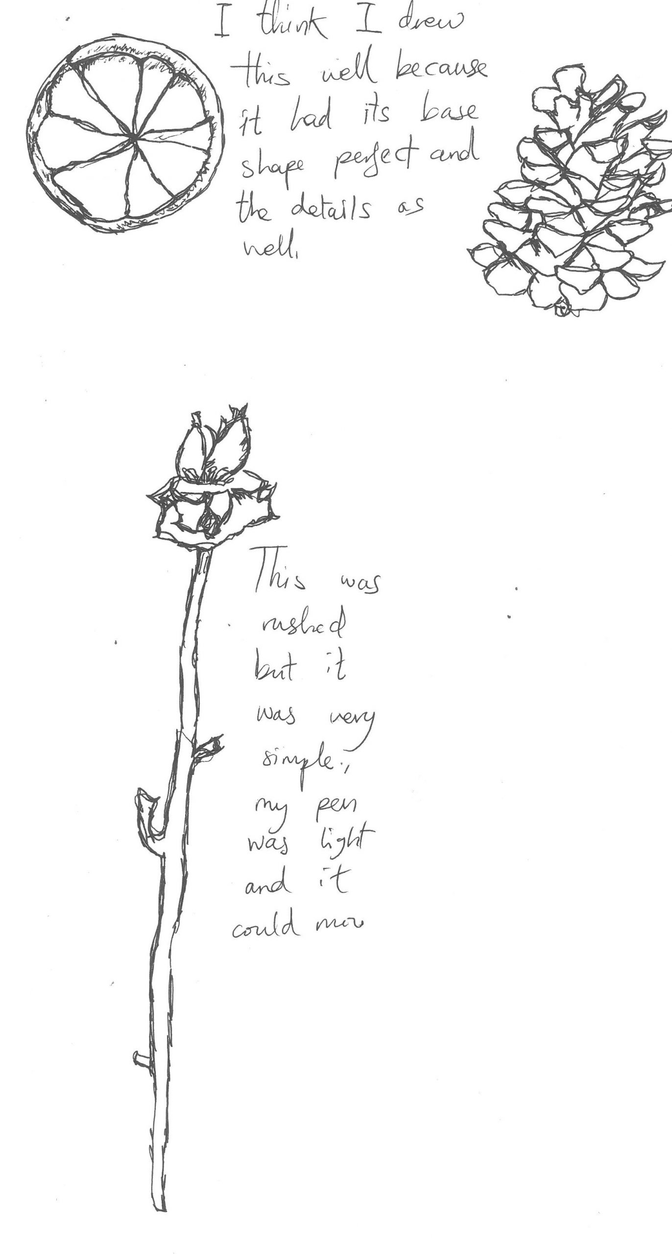 Copy of S45C-925091112081