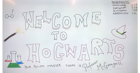 MGGS Year 7 Science Club - Hogwarts Potions Class_fl