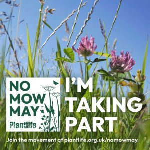 MGGS is taking part in “No Mow May”