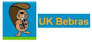 UK Bebras Challenge 2021 - fl