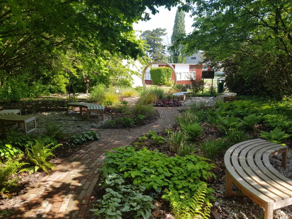 Woodland Garden