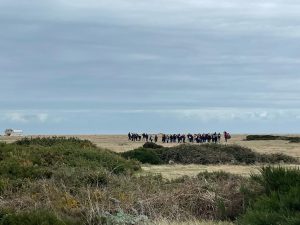 Year 10 Art Trip to Dungeness … sharks and all