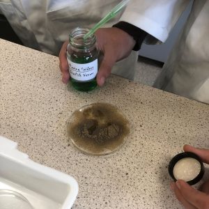 Year 7 Science Club Attends a Hogwarts Potions Class at MGGS