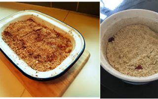 mggs_Food_and_Nutrition_fl