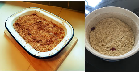 mggs_Food_and_Nutrition_fl